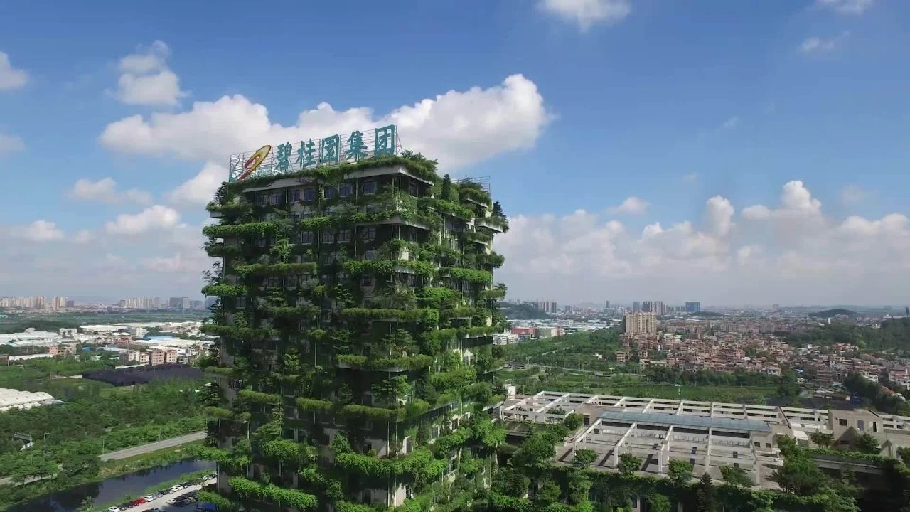 碧桂园&ldquo;坑&rdquo;了多少涂料企业？