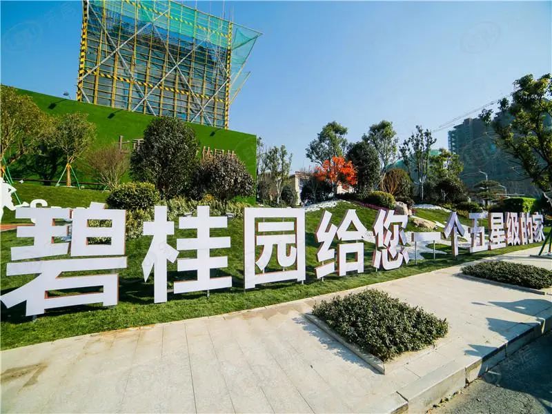 碧桂园&ldquo;压哨&rdquo;支付两笔境外债息，它的&ldquo;涂料生意&rdquo;有救了？