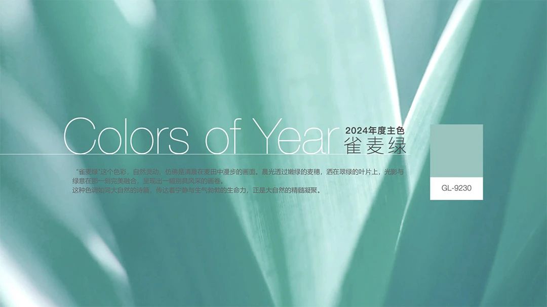 寻色记 | 华润漆2024年度色彩跃然而出