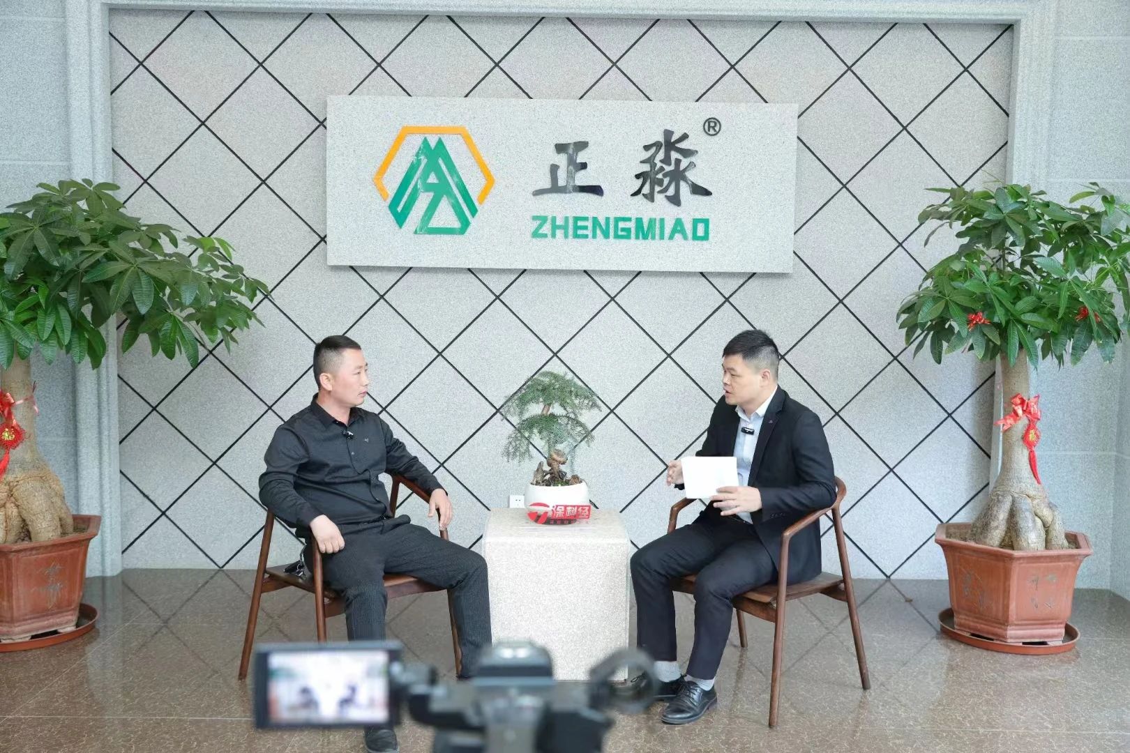 九仙花仿石漆异军突起靠什么？卓清龙：高质量