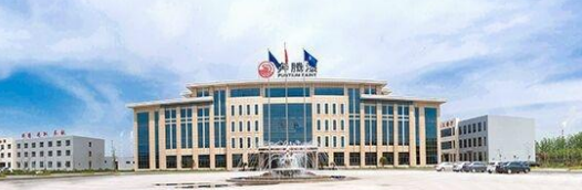 奔腾漆业2023财报出炉：营收4.6亿，增长13.67%