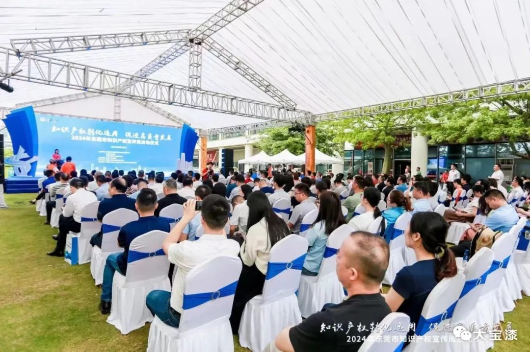 大宝知识产权工作再获肯定，加快发展新质生产力生产