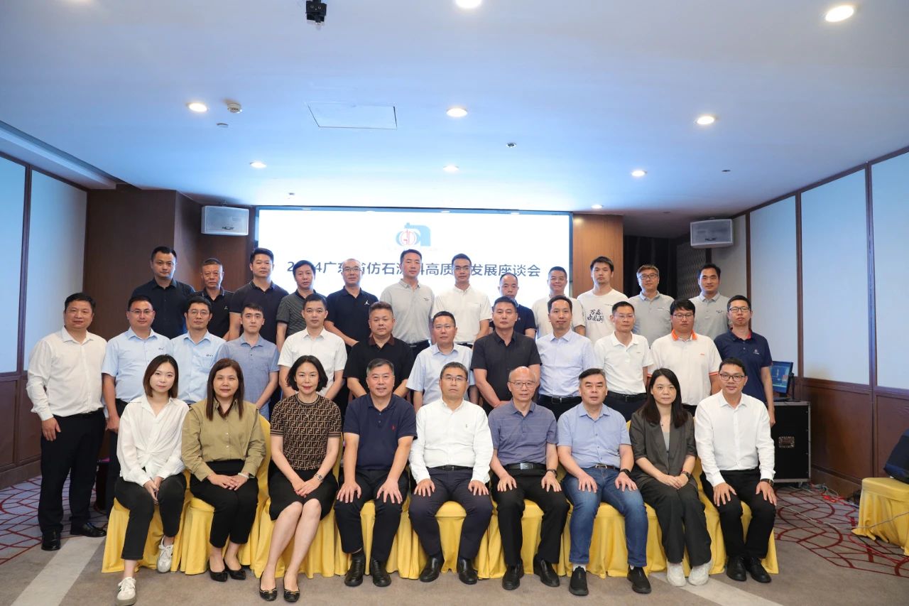 2024广东省仿石涂料发展报告发布，共迎高质量发展新机遇