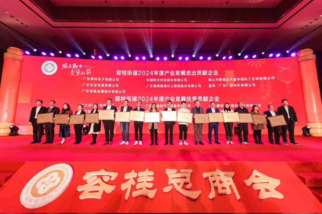 纳税6000万元，宣伟-华润涂料荣获“2024年度产业发展杰出贡献企业”