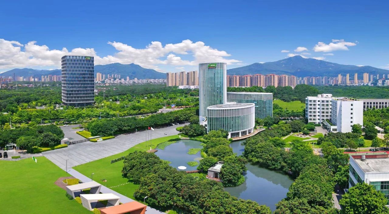 零售战略转型取得突破 三棵树经营质量全面提升