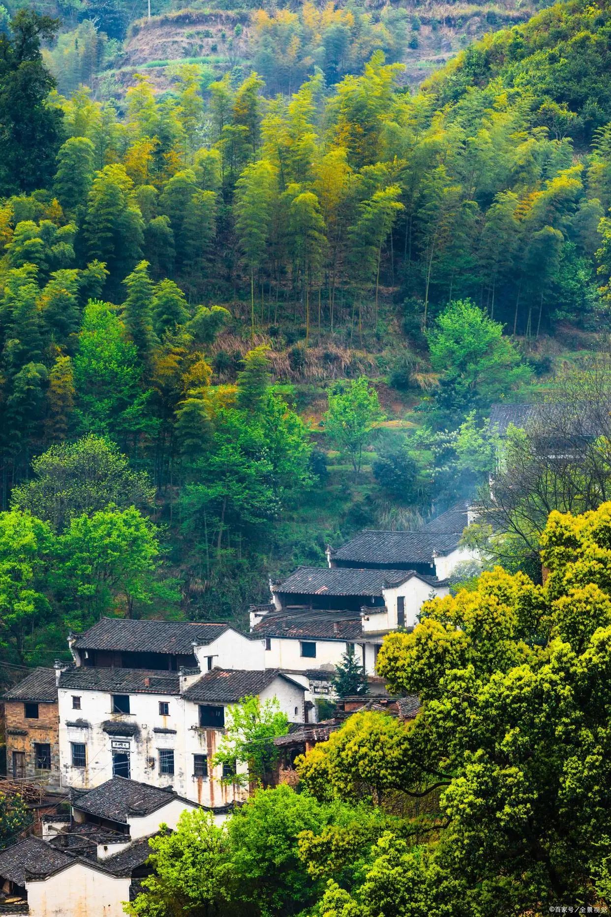 掀起仿石漆产业革新热潮，诚兰仿石漆不走寻常路