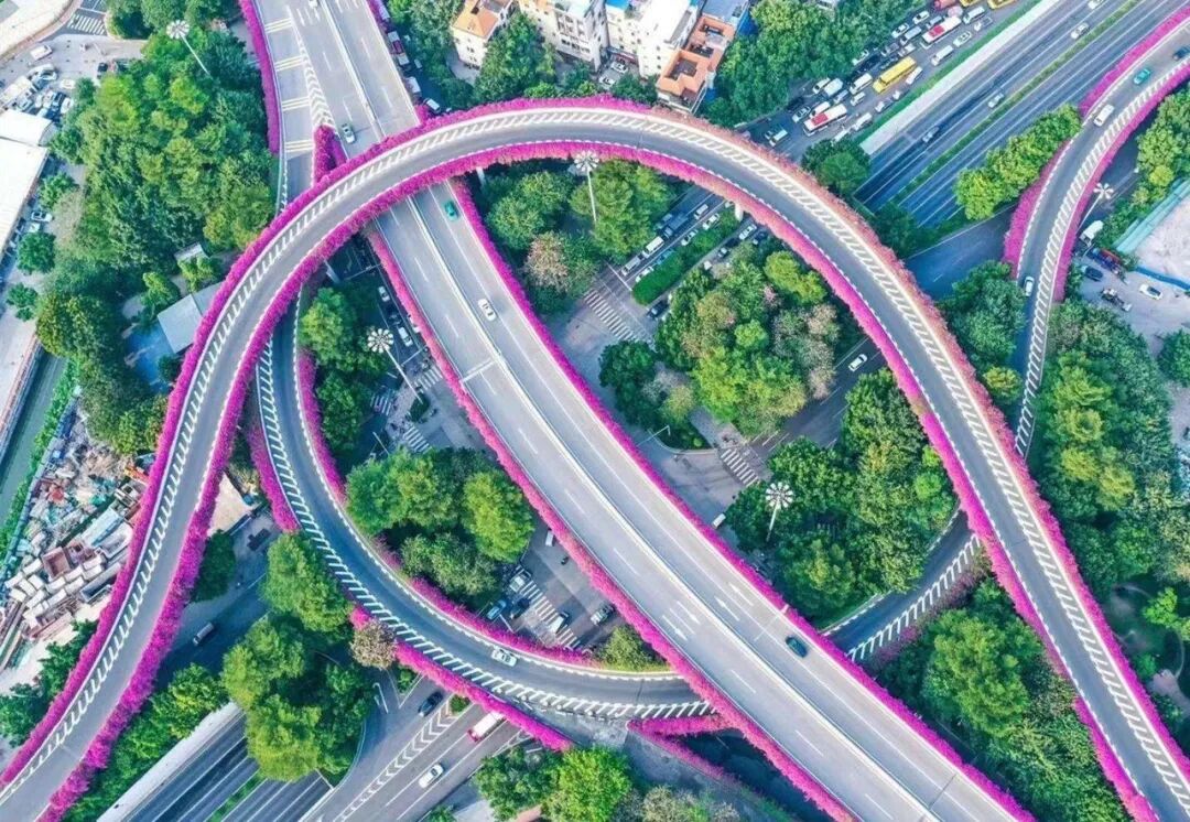 以科技力量护航绿色全运！美涂士助力大湾区全运会基建焕新升级