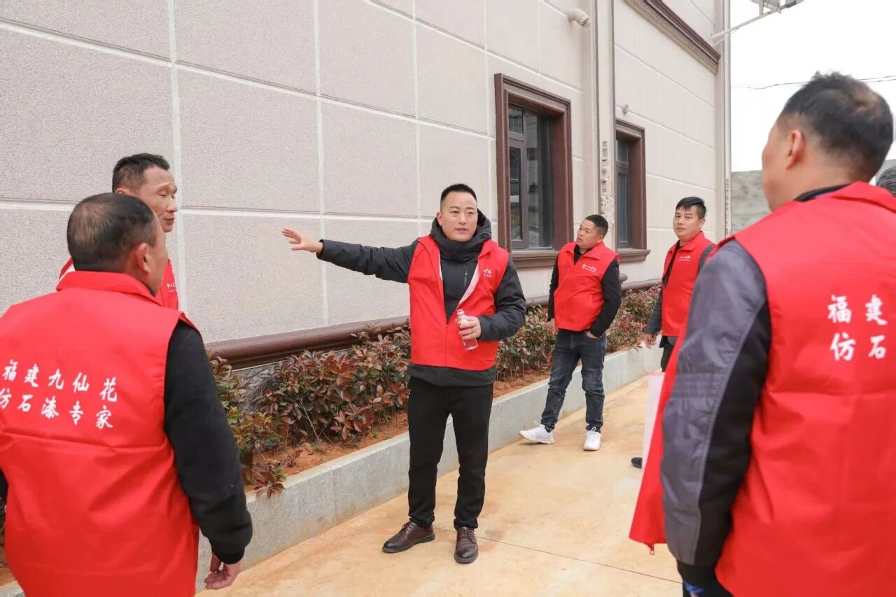 九仙花仿石漆的江西“突围战”