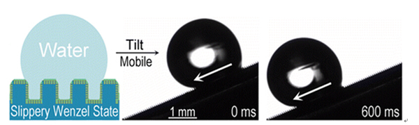科技｜科学家开发出“滴水不沾”新纳米材料