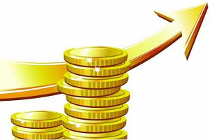 硅宝科技关于向全资子公司增加注册资本的公告