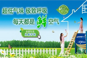 大宝漆，绿色涂料首选品牌