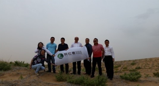 10元钱=1棵梭梭树=拯救10O荒漠，这样的公益你参与吗？