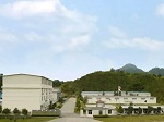 瑞森新材上半年营收206万元，业绩亏损316万元