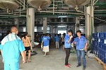 A股化工板块的业绩喜大于忧，双虎涂料启动A股IPO计划