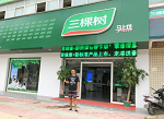 三棵树“健康+首席呼吸官”上任走访专卖店