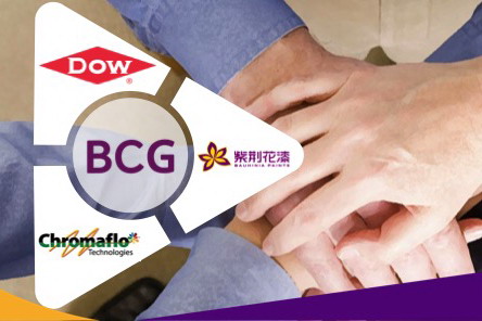 用心与科技凝聚创新合力 助推紫荆花品牌崛起