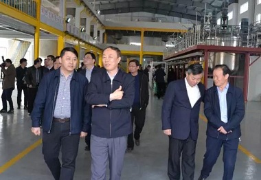 江苏副省长马秋林赴晨光工业园考察调研