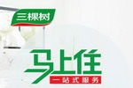 从卖产品到卖服务 三棵树推一站式服务 品质与体验全面升级