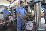 河北安平：水溶性涂料投入批量生产