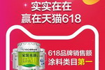 晨阳水漆6・18零售突破750吨