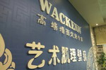 瓦科2017年上半年销量同比增长60%