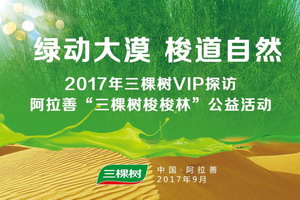 绿动大漠 三棵树百万梭林索道自然