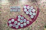 不忘初心,嘉宝莉与民族品牌继续前行