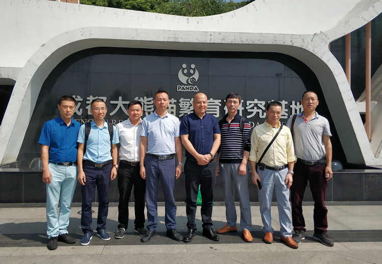 近距离接触国宝，迪邦涂料看望认养大熊猫&ldquo;迪迪&rdquo;