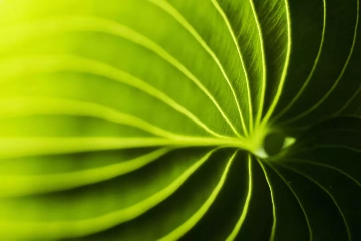 帝斯曼在2018中国国际涂料展期间推出三款创新涂料树脂