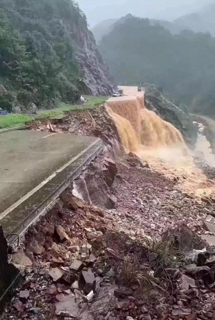 三棵树：抗洪救灾显大爱，情系灾区暖人心