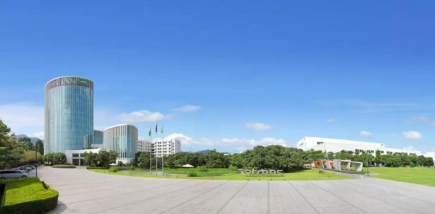 构建长期竞争力，三棵树研发投入逐年增加