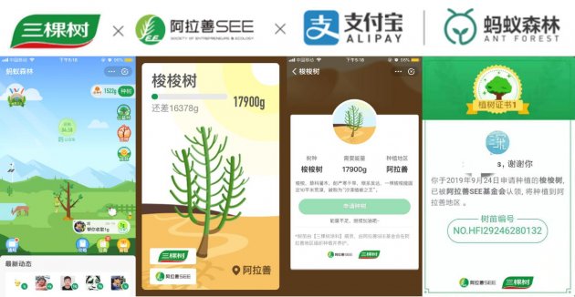 三棵树携手支付宝蚂蚁森林探索互联网新公益