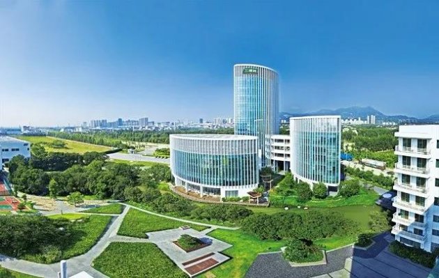 新华社走进三棵树：发&ldquo;韧性三问&rdquo; 听坚韧强音