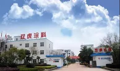 武汉双虎走向何方？