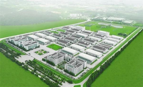 大宝化工叶子琛2020年的新思考