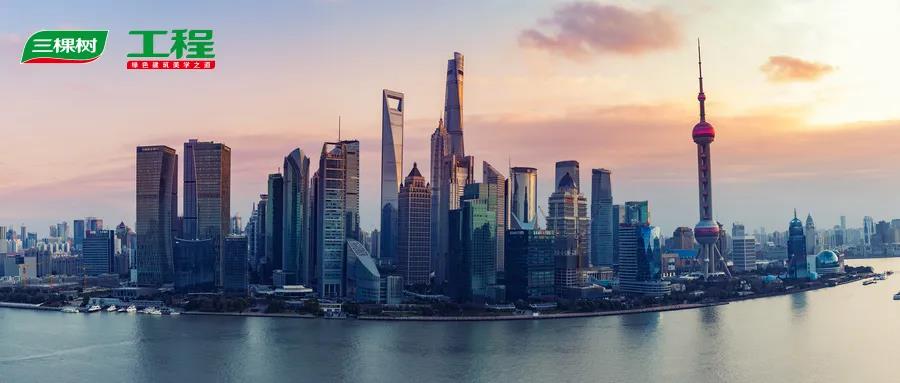 三棵树发布2019年报：营收60亿元，净利4.06亿增长82.55%