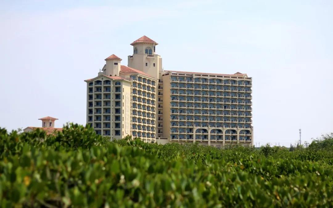 巴德士仿石艺术漆实力中标澄迈博亚龙湾外墙涂装项目