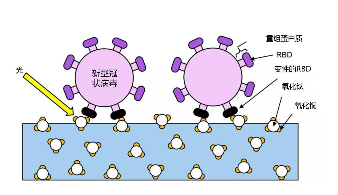 立邦与东京大学共同研发创新涂层科技，实现抗病毒性能再突破
