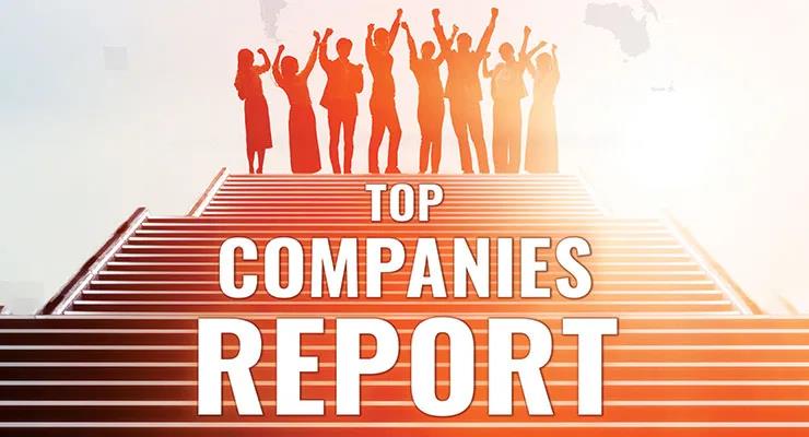 &ldquo;全球顶级涂料企业&rdquo;放榜