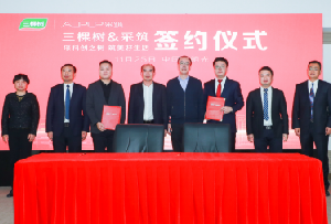 三棵树&amp;采筑战略合作再升级！新技术赋能家居绿碳发展